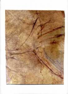 017 Pomaranczowe Sny-listy