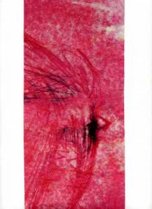 032 Pomaranczowe Sny-listy