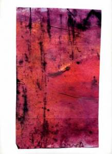 035 Pomaranczowe Sny-listy